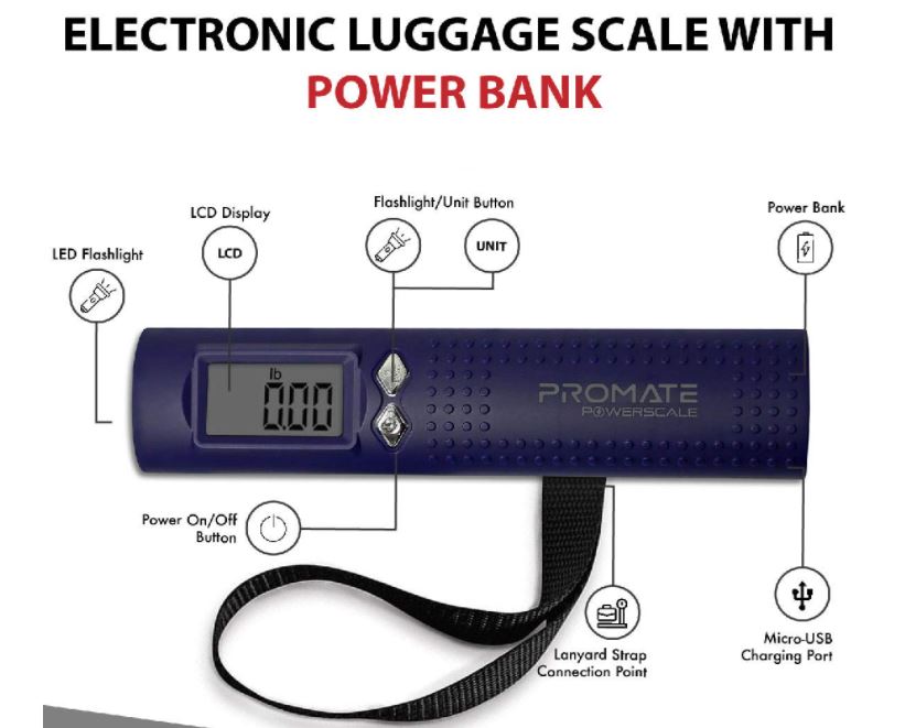 Handheld Digital Weighing Scale