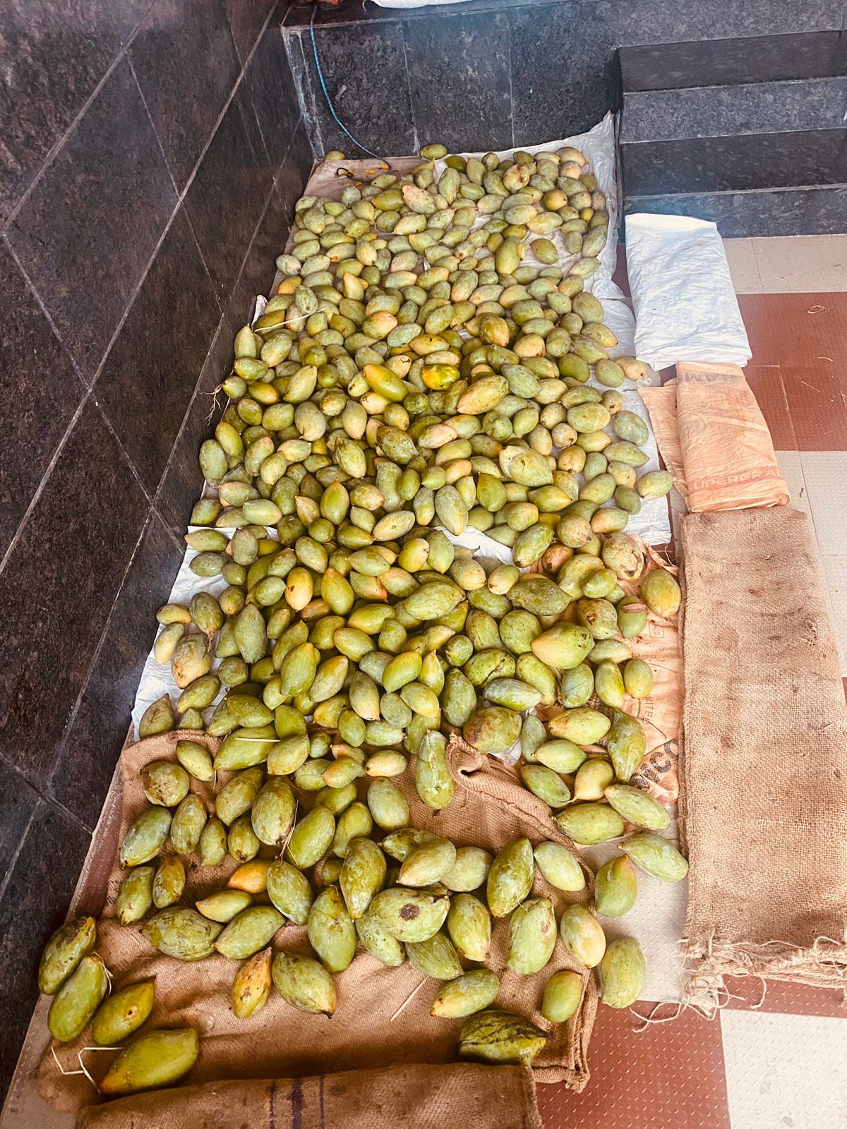 Mango - Kilimooku 5kg