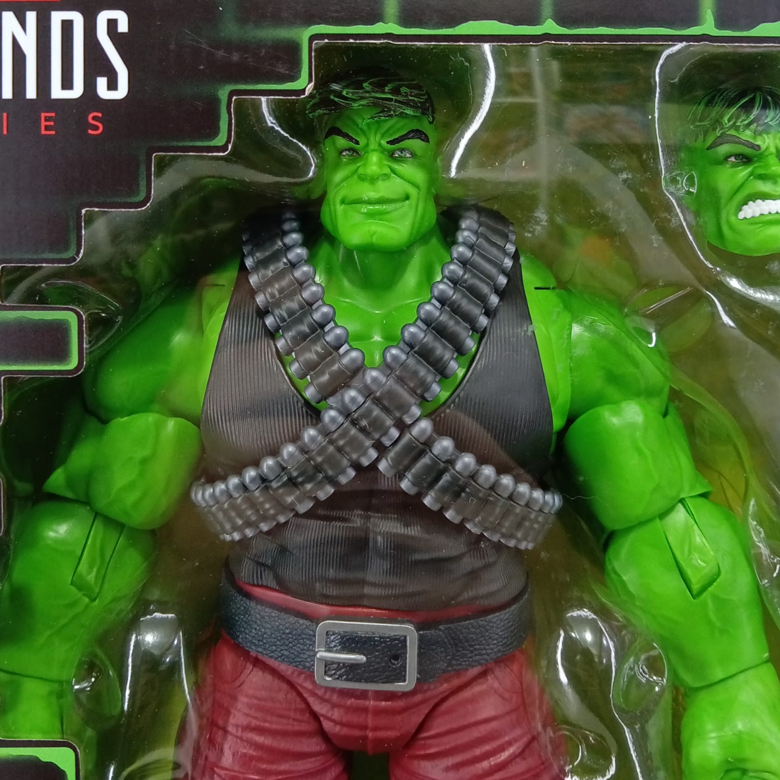 Professor Hulk (Hulk Series)