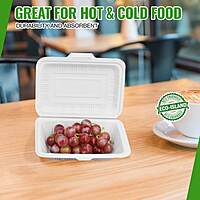 7x5 Eco-Island Trays 4/125