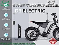 Windhorse Electric Bike D3
