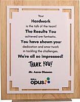 BIRLA OPUS PLAQUES TROPHY