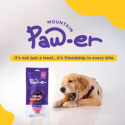 Yak Cheese Chew Original - XL (1 Pc)