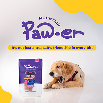 Yak Cheese Chew Original - XL (2 Pcs)