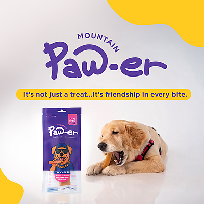 Yak Cheese Chew Original - L (10 Pc)