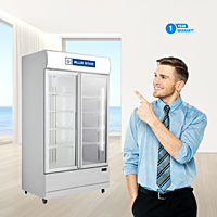 Blue Star Visi Cooler-VC600CD with 1 year comprehensive warranty Blue Star Visi Cooler-VC600CD with 1 year comprehensive warranty