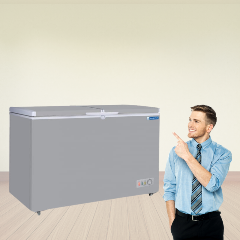 Shop Online Blue star Cooler and Deep Freezer 275 Litre-CHFK275DGS-Grey at Me shop