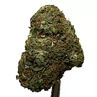 Sour Zkittlez Greenhouse Select