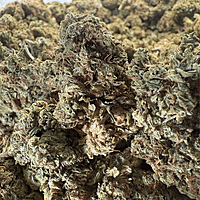 Maui Wowie Greenhouse Standard