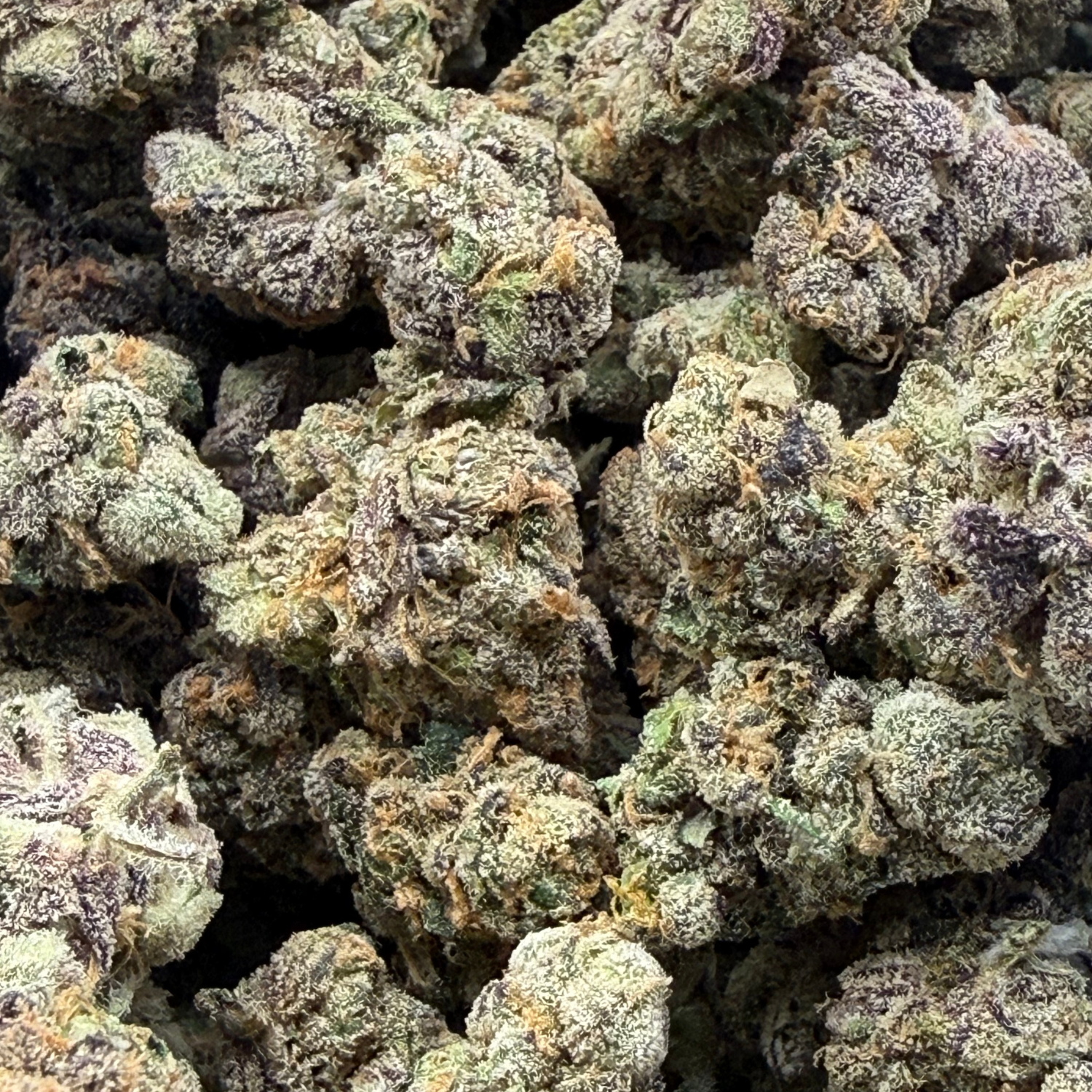 Martian Candy Nugget Indoor Hidropónica