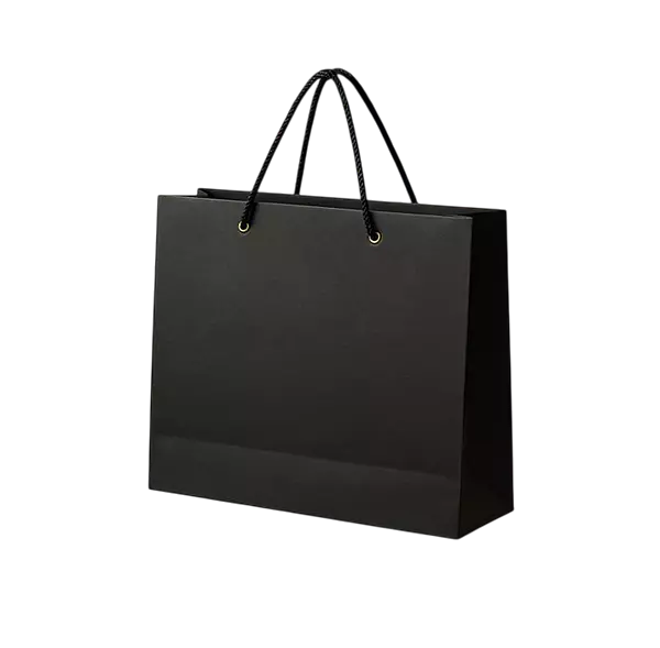 BLACK PAPER BAG3