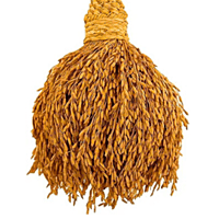 Natural Dry Rice Grain Door Thoran Pack of 1 Thoran