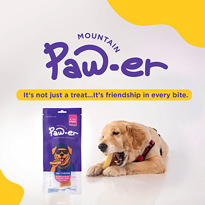 Yak Cheese Chew Peanut Butter - L (3 Pcs)