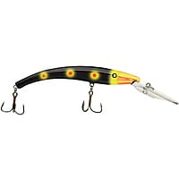 Reef Runner 800 Deep Diver Reef Runner 800 Deep Diver