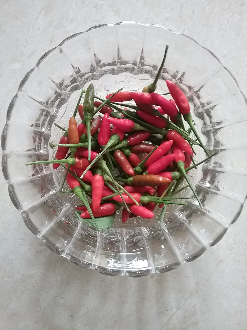 Kanthari Milagai | காந்தாரி மிளகாய்