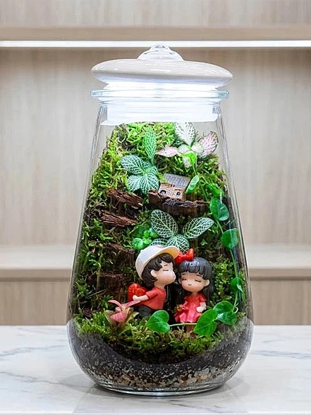 Forever Together - Nature Classics Terrarium