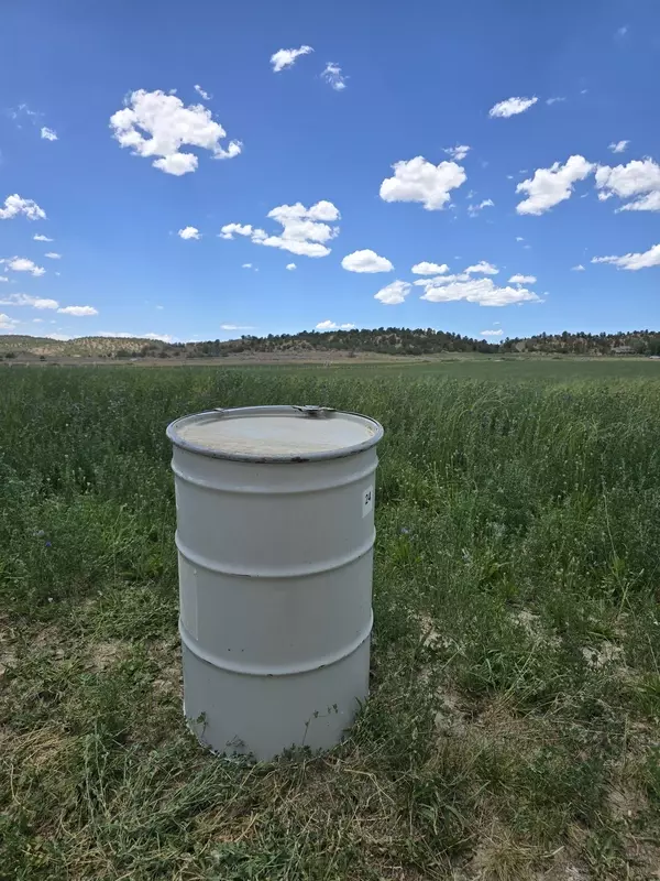 NON-GMO Corn & Soy Free Pellets