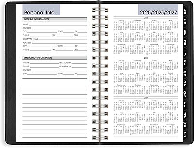 AT-A-GLANCE DayMinder Weekly Appointment Book Planner