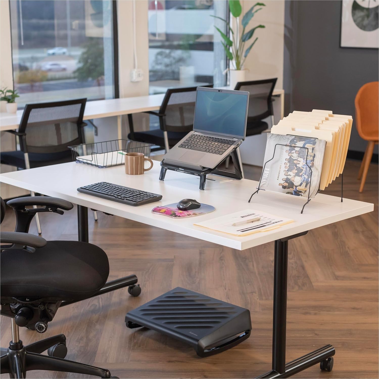 Fellowes Photo Gel Mouse Pad with Wrist Rest and MICROBAN