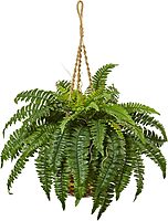 Nearly Natural 33inH Polyester Boston Fern With Hanging Basket, Green