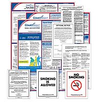ComplyRight Federal (Bilingual), State & Public Sector (English) Poster Set - New York (EFEDSTCRPSECBNY)