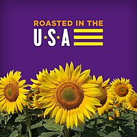 BIGS Sunflower Seeds, Taco Bell Taco Supreme Flavor, 5.35 oz. (Pack of 12)