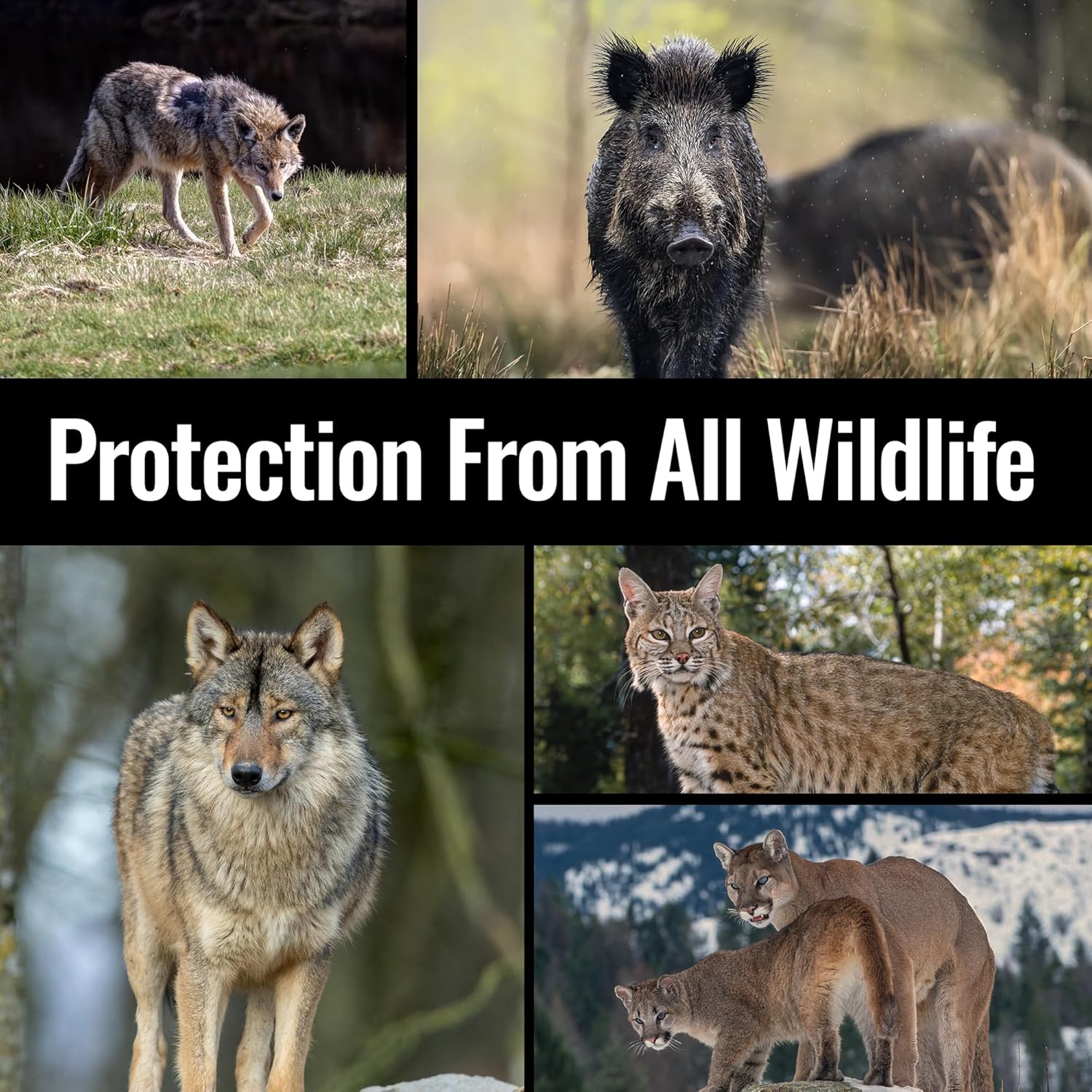 Mace Brand Guard Alaska Bear Deterrent Self Defense Spray, 9.17 oz, 20 Feet Range, Max Strength 20% OC Wildlife Safe Formula