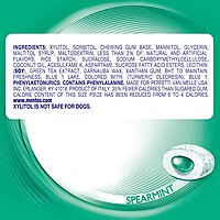 Mentos Pure Fresh Sugar-Free Chewing Gum with Xylitol, Spearmint, 50 Piece Bottle (Bulk Pack of 4) Spearmint 50 Count (Pack of 4)