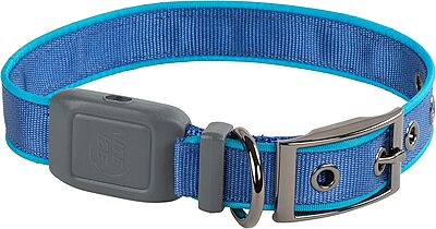Nite Ize NiteDog Rechargeable LED Collar - Light Up Dog Collar with Durable Metal Buckle