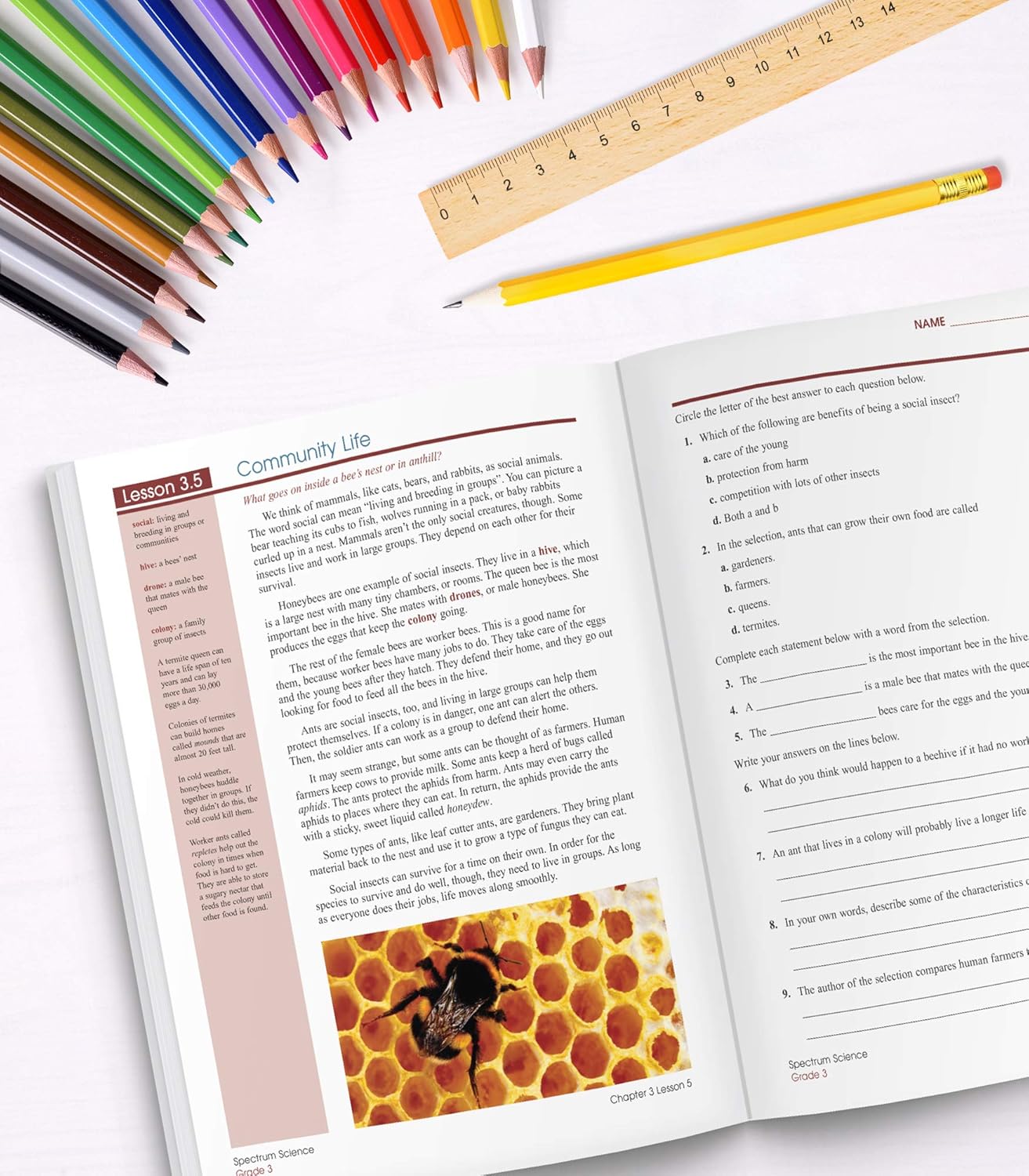 Spectrum 3rd Grade Science Workbooks, Ages 8 to 9, Grade 3 Science, Physical, Space, Earth, and Life Science