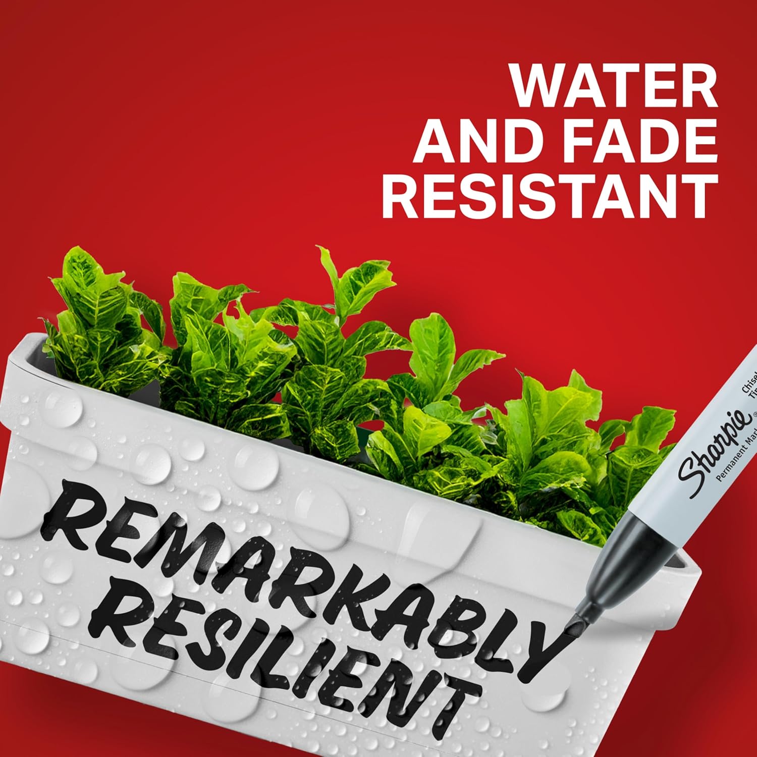 Sharpie Permanent Markers, Broad, Chisel Tip, 12-Pack, Blue (38203) Blue Broad Chisel 12 Count (Pack of 1) Markers