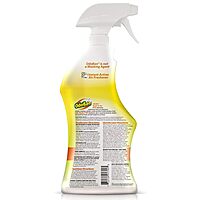 OdoBan Ready-to-Use Disinfectant and Odor Eliminator, 32 fl oz Spray Bottle