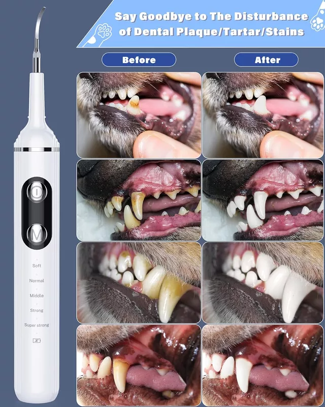 kit de cepillado de dientes de mascotas