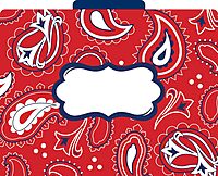 Barker Creek Designer File Folders, Letter Size, 1/3 Cut Tabs