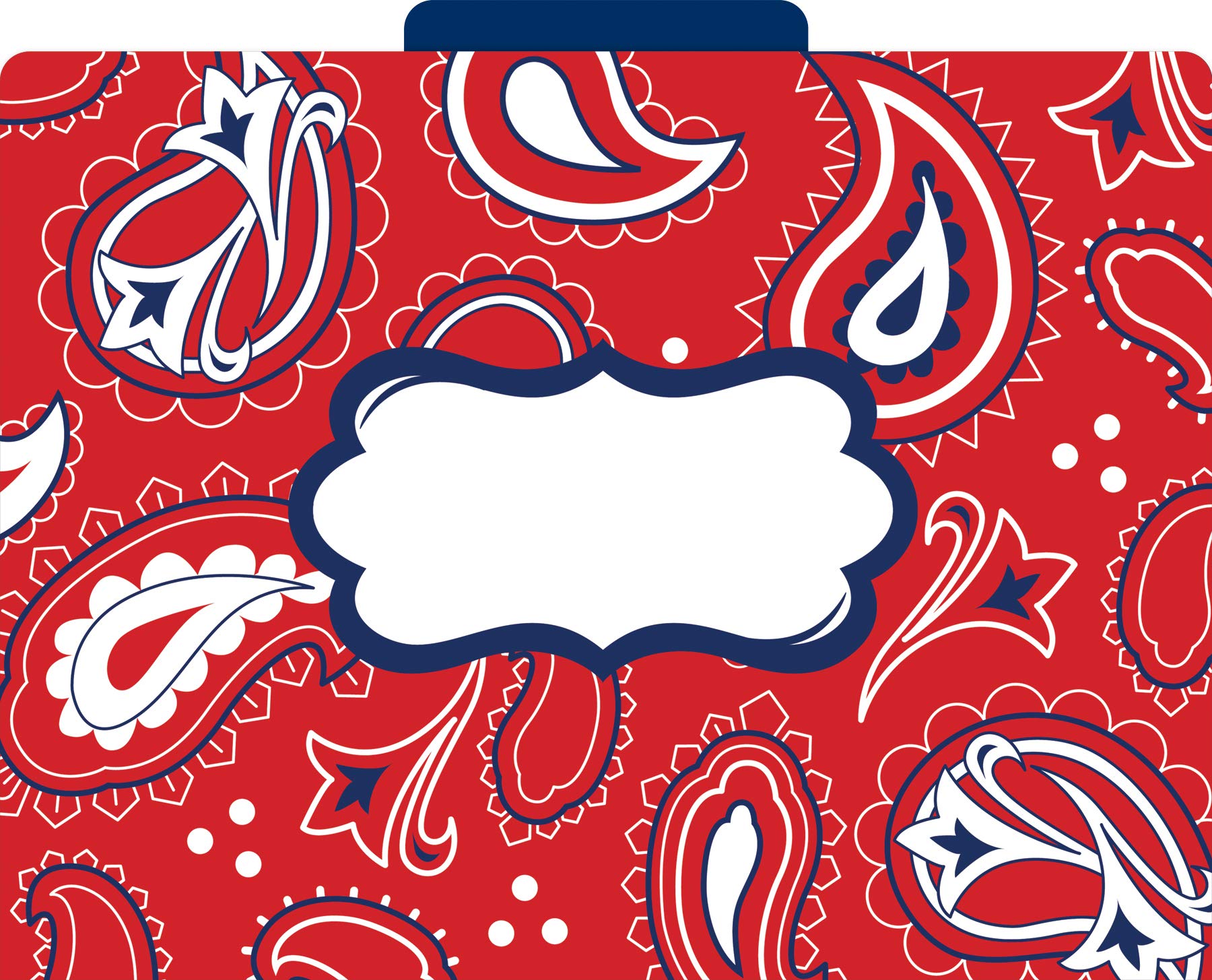 Barker Creek Designer File Folders, Letter Size, 1/3 Cut Tabs