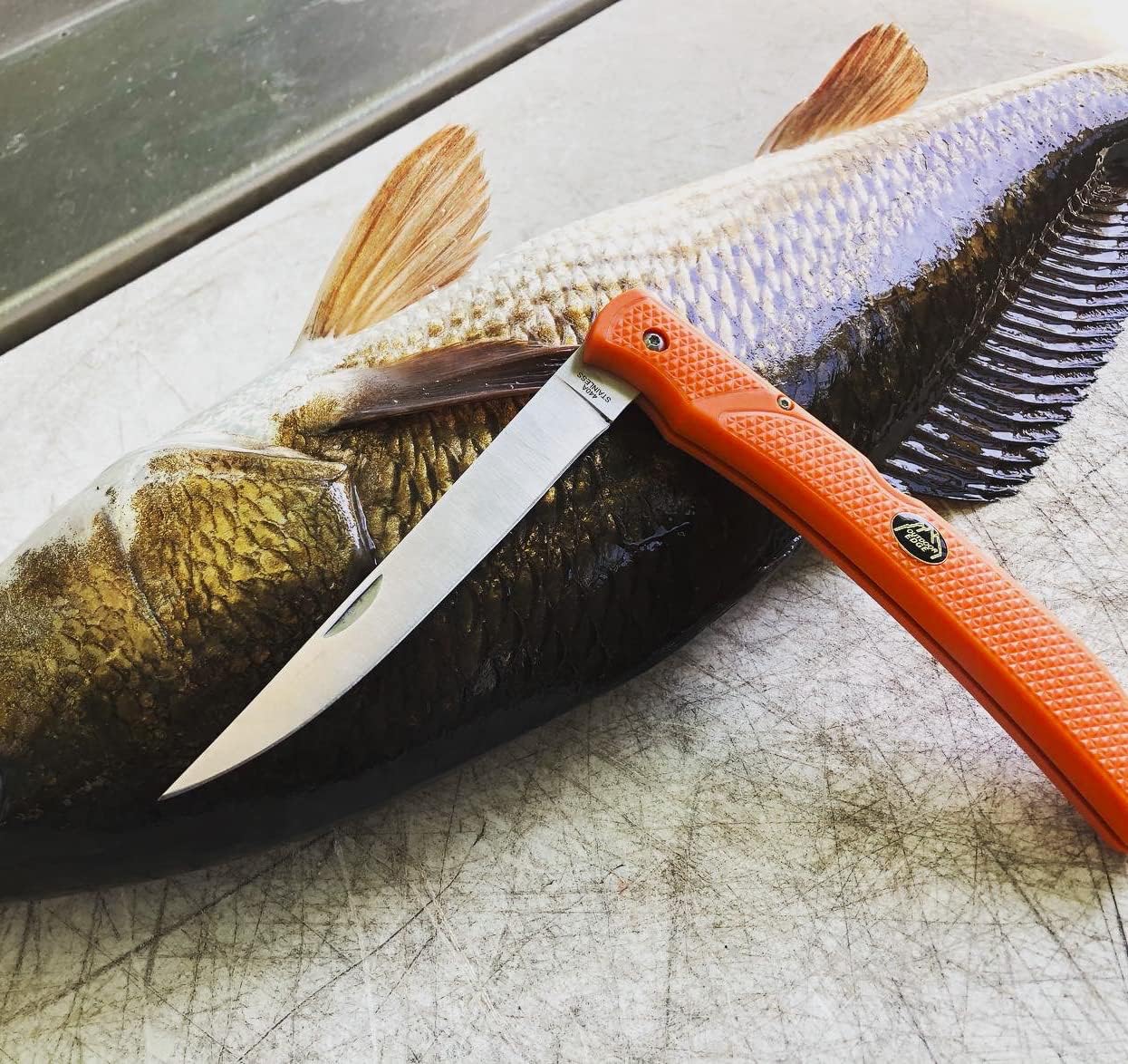 OUTDOOR EDGE Fish & Bone Folding Fillet Knife with 5.0" 440A Stainless Blade - Pocket Clip