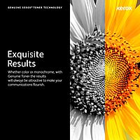 Genuine Xerox VersaLink B400/B405 Black Toner Cartridge