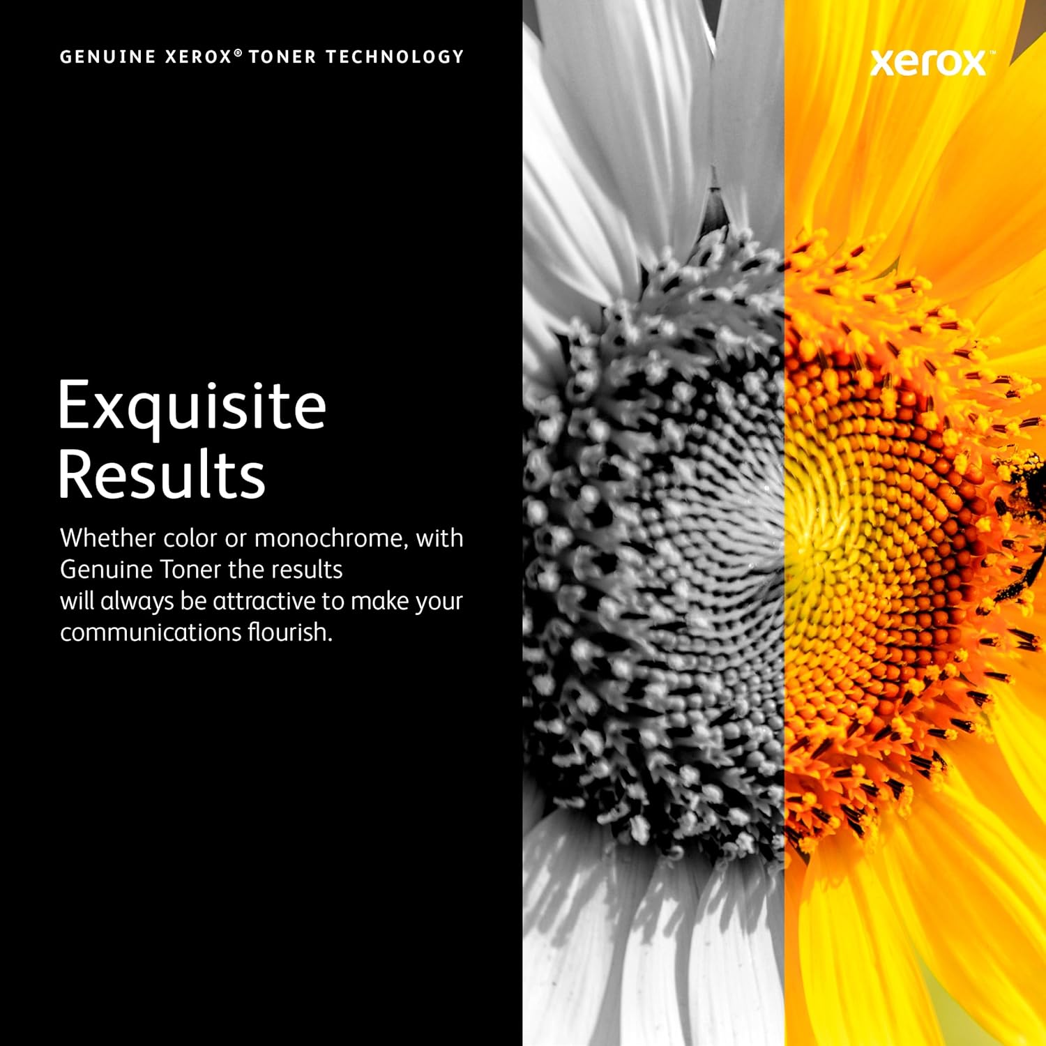 XEROX Genuine Toner Cartridge for C230/C235 Printers