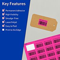 Avery Printable Rectangle Labels, Sure Feed Technology, 1-1/4" x 1-3/4", Neon Magenta, 320 Total