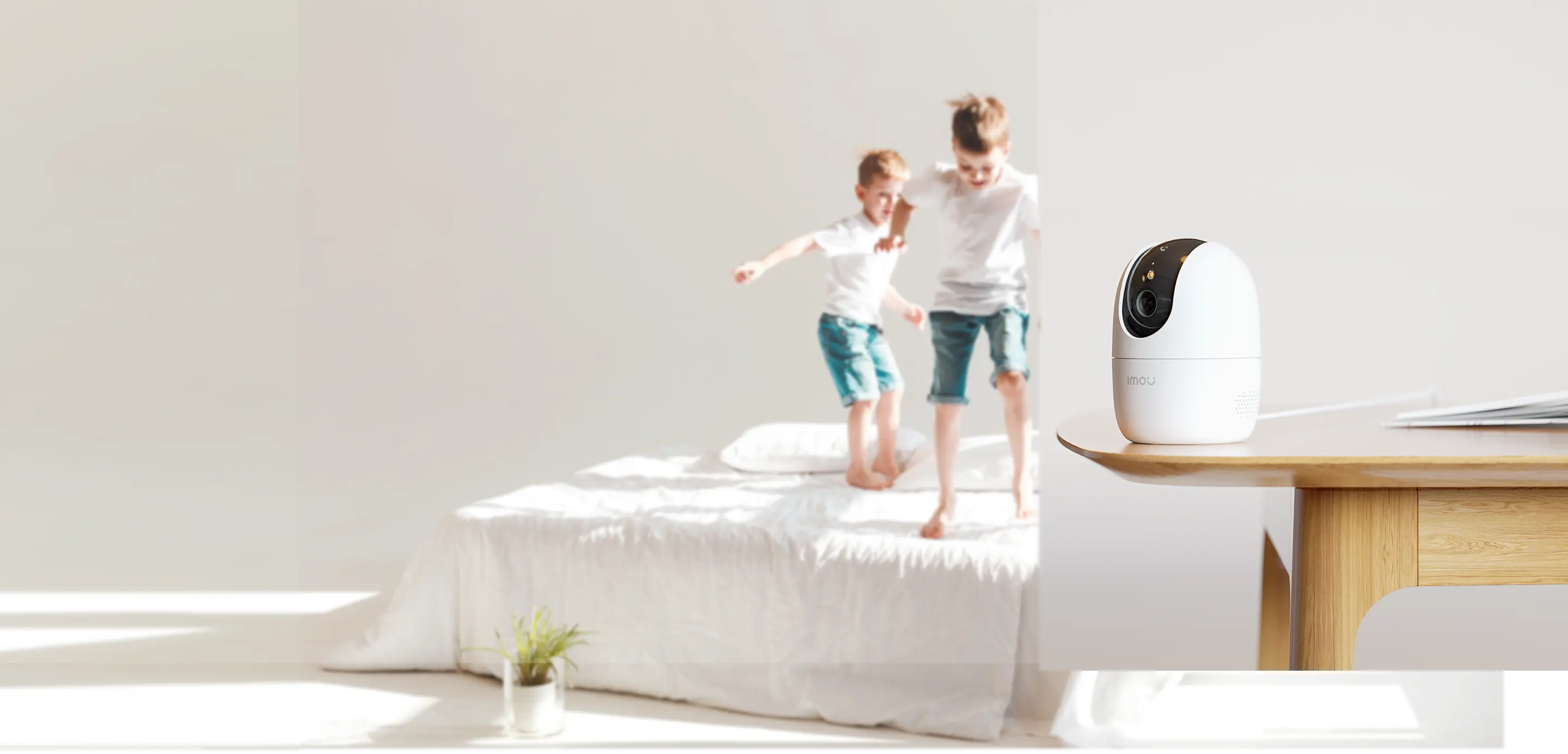 Ranger 2 Pro (8MP-Indoor-WiFi) Camera