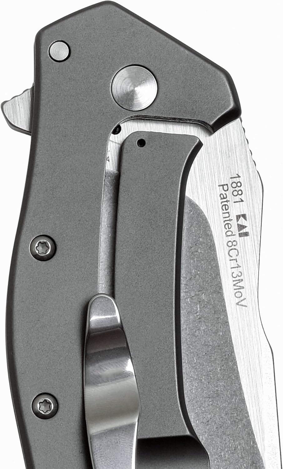 Kershaw Eris Folding Pocket Knife (1881); 3-Inch Stainless Steel Drop-Point Blade Featuring SpeedSafe Assisted Opening