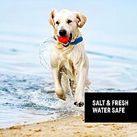 Nite Ize RadDog All-in-One Collar and Leash - Heavy-Duty Built-In 36-inch Retractable Leash