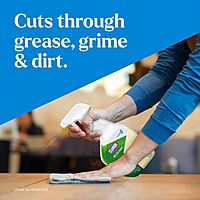 Clorox CloroxPro EcoClean All-Purpose Cleaner Spray Bottle, 32 Fluid Ounces