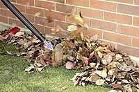 Karcher WD 1s Classic KAP Wet & Dry Vacuum Cleaner | 1300W