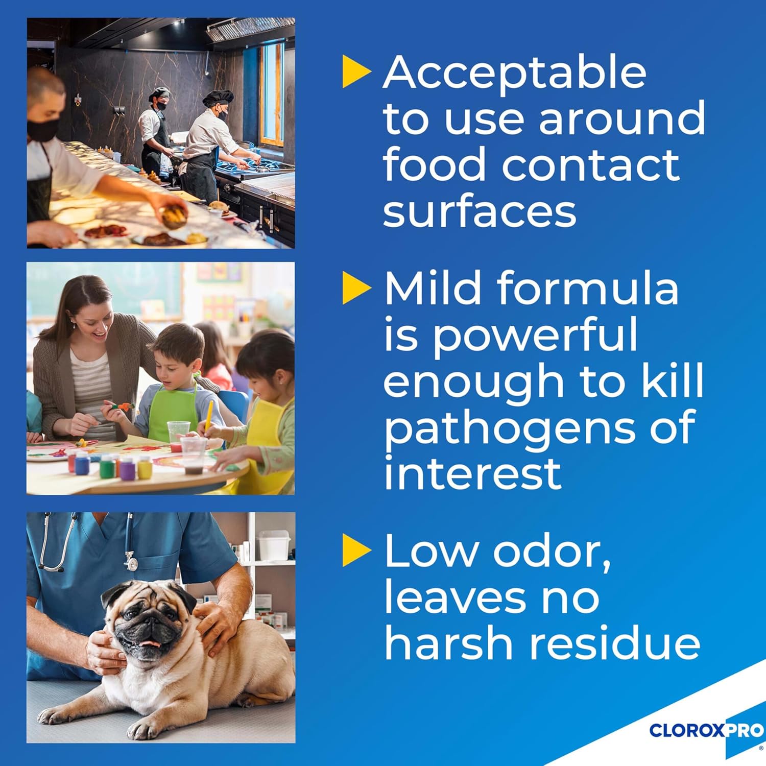 CloroxPro Anywhere Daily Disinfectant and Sanitizer, No-Rinse Food Contact Sanitizer, 32 Fluid Ounces