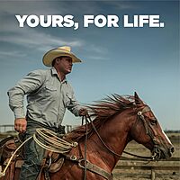 BENCHMADE Osborne 940 Folding Knife - AXIS Lock EDC