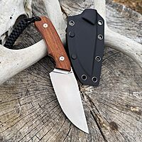 CIVIVI Gander Fixed Blade Knife with Kydex Sheath, 3.63" 14C28N Blade