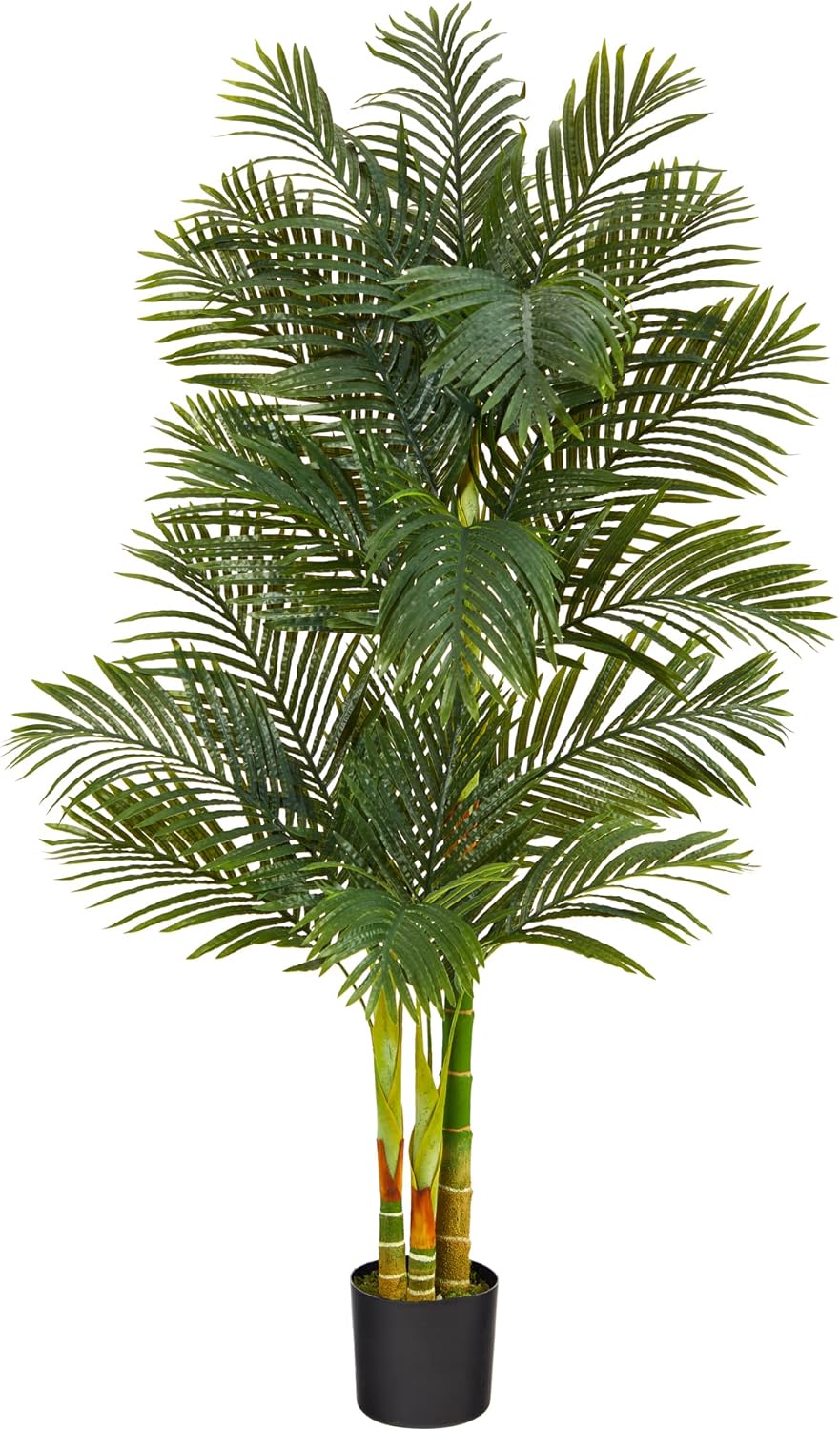 Nearly Natural Golden Cane Palm 72inH Artificial Plant With Planter, 72inH x 32inW x 32inD, Green/Black