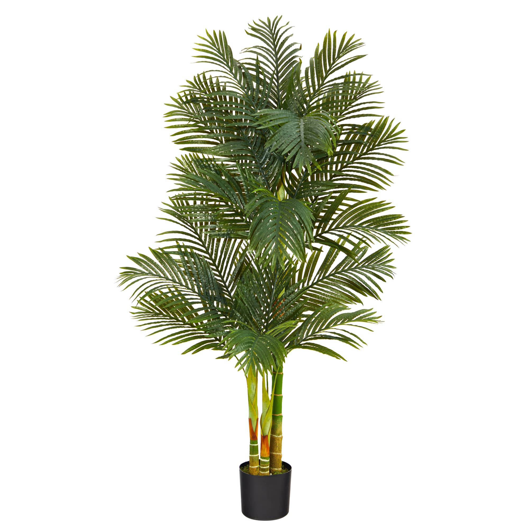 Nearly Natural Golden Cane Palm 72inH Artificial Plant With Planter, 72inH x 32inW x 32inD, Green/Black