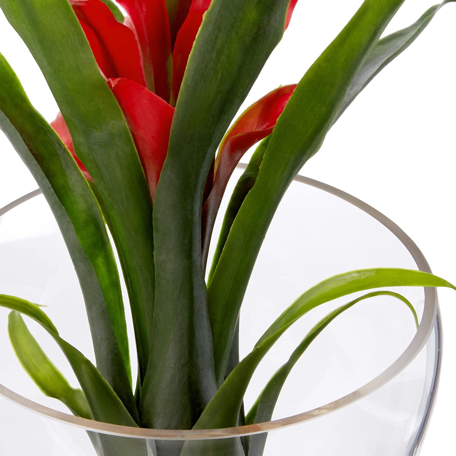 Nearly Natural Tropical Bromeliad 8inH Artificial Floral Arrangement With Angled Vase, 8inH x 6inW x 6inD, Red